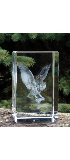 Crystal cube 50*50*80 (2*2*3.15") - 3D owl