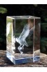 Crystal cube 50*50*80 (2*2*3.15") - 3D owl