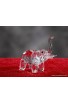 Crystal elephant