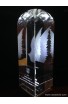 Crystal trophy - various height